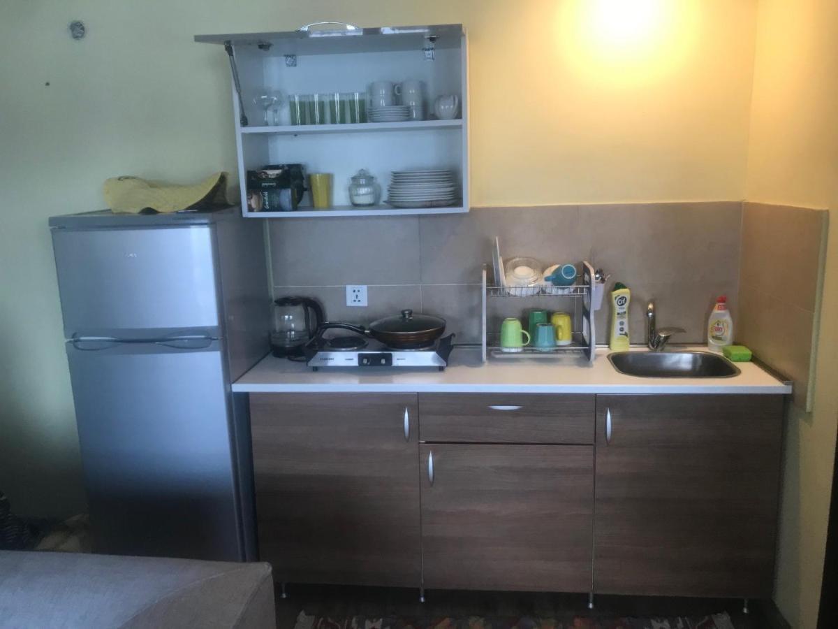 Crystalville Apartment 542 Bakuriani Εξωτερικό φωτογραφία